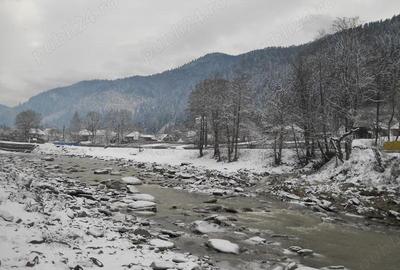 Vila P+2 cu 8 camere ?i 4600 mp teren Ideala pentru pensiune, casa multifamiliala sau investi?ie - 9