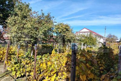 Casă cu 4 camere cu Teren 884 Mp în Central - 9