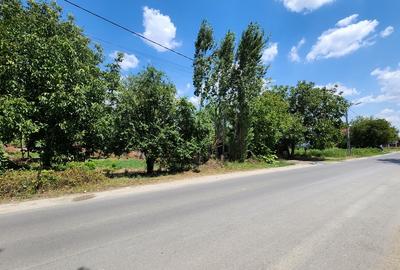 Magurele-Piscina Magurele,doar 1km primarie,parc,stadion! Magurele-Piscina Magurele,doar 1km primarie,parc,stadion! - 5