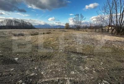 Teren de 8000 mp, în Debarcader - 1