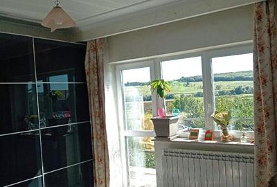 Vila in Rusii Manastioara - 21