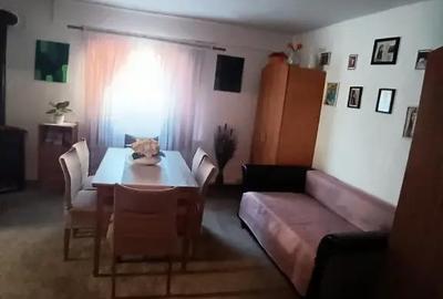 Casă cu 4 camere cu Teren 2300 Mp în Valea Borcutului - 7