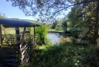 Teren extravilan 73 ari + cabana+lac de pesti,zona Slatinita - 4