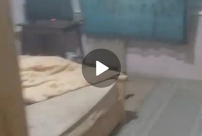 Apartament cu 3 camere decomandat în Rahova - 3