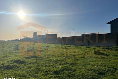 Teren de 6667 mp, în Zona Industrială - 3