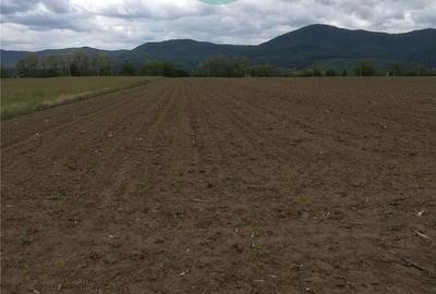 Teren de 18000 mp, în Ciritei
