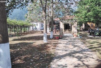 Casă cu 2 camere cu Teren 500 Mp în Central - 4