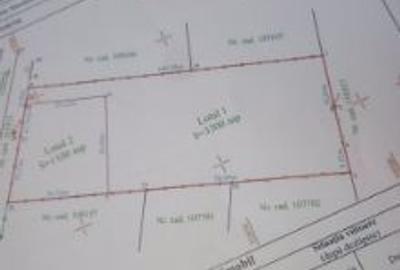 Teren Construcții intravilan de 4400 mp, în Cărpiniș - 2