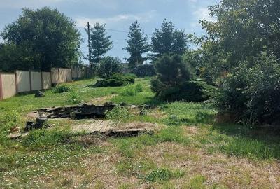 Casă cu Teren 1000 Mp în Zimandcuz - 3