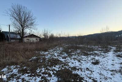 Teren de 10834 mp, în Dumbrăvești - 14