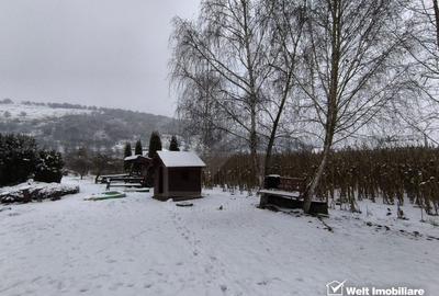 Pensiune 10 camere,  cu toate avizele,  DN1C, jud. Cluj - 23