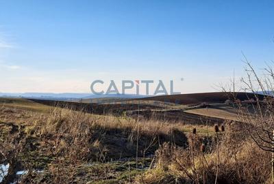 Teren extravilan 4 300 mp, expunere sudica - 3