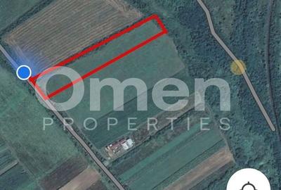 Teren agricol extravilan de 12000 mp, în Hideaga - 2