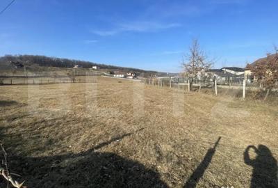 Teren de 742 mp, în Unirea - 2