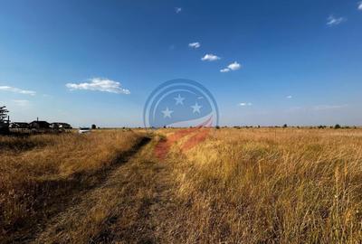 Teren Construcții intravilan de 1000 mp, în Ghercești - 3