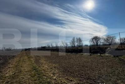 Teren în Vințu de Jos - 4