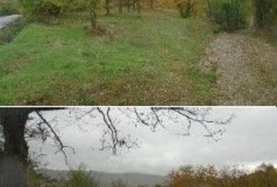 Teren faneata Vizantea Livezi; ID: R2800475 - 1