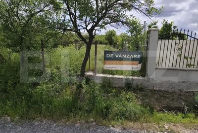 Teren de 860 mp, în Podgoria - 4