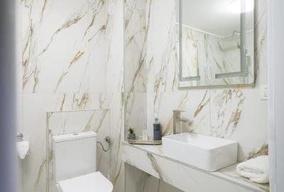 Hotel / Business / Timisoara - 2