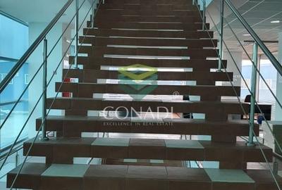 Inchiriem Hala 3 Platforma industriala langa Carrefour DNCB A1 - 4