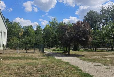 Vand apartament 3 camere in Timi?oara, zona Soarelui (langa Parcul Padurice) - 10