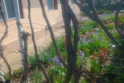 Casă cu Teren 530 Mp în Central - 3