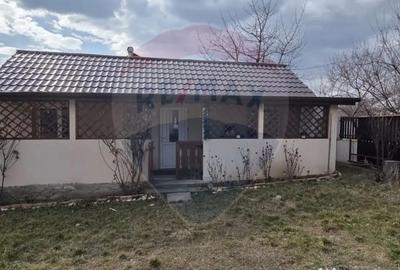 Casă cu 4 camere cu Teren 614 Mp în Stânca (Ștefănești) - 9