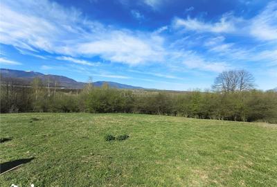 Teren de 4000 mp, în Central - 1