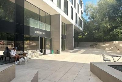 Spatiu Comercial - Birou  Herastrau - 3
