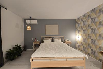 Inchiriere Vila Henri Coanda design deosebit - 13