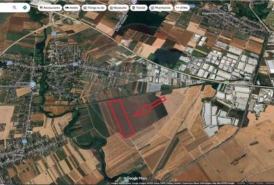 Teren Construcții intravilan de 49666 mp, în Ciorogârla - 1
