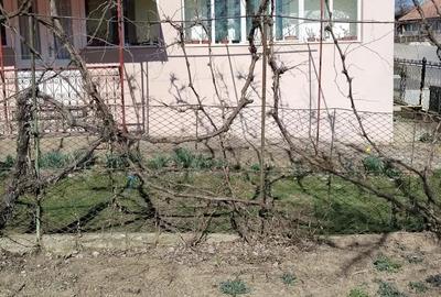 Casă cu 2 camere cu Teren 560 Mp în Morești - 9