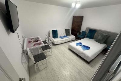 Casa 3 camere Delfinariu - 2