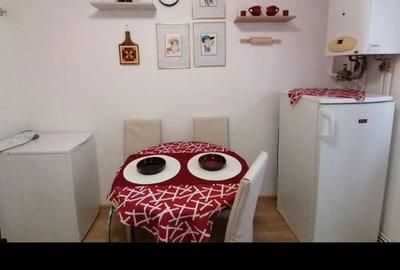 Garsonieră decomandată în Terezian - 6