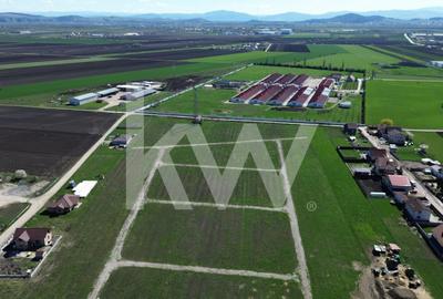 Teren Construcții intravilan de 447 mp, în Hălchiu - 18