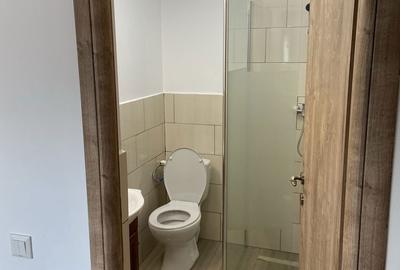Casă cu 3 camere în Gura Câlnăului - 4