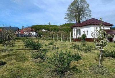 Casă cu 3 camere cu Teren 1600 Mp în Crâmpotani - 4