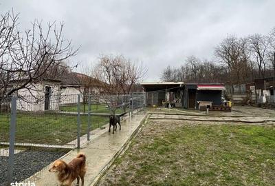 Teren de 1000 mp, în Central - 4