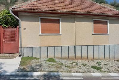 Vand casa cu gradina sat Bobalna Hunedoara - 1