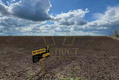 Teren extravilan - constructii industriale 5ha | Sag | Frigoglass - 3