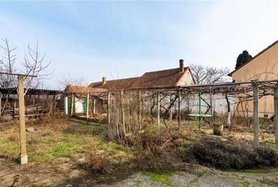 RECO Casa cu teren 3036mp, Bors - 4