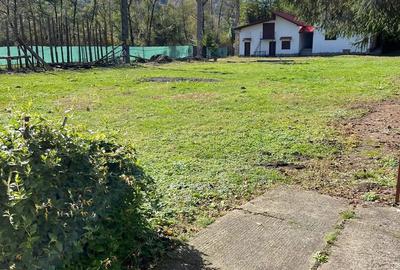 Teren 16000mp cu 2 vile - 3