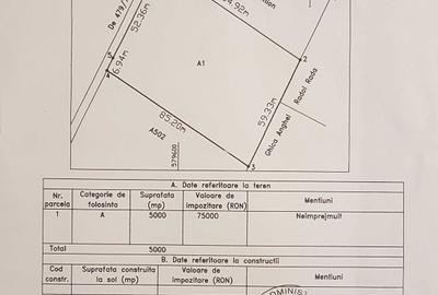 Teren de 5000 mp, în Vârteju - 4