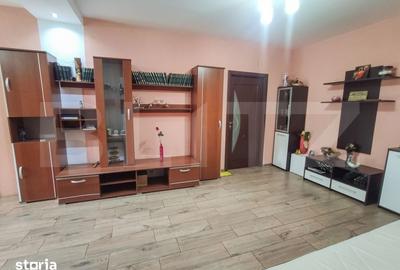 Casă cu 3 camere cu Teren 24000 Mp în Micula - 17