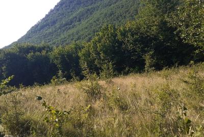 Roscani-Dobra-Teren Cabana-10km A1-Posibilitate Rate