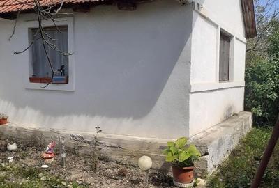 Casă cu 2 camere cu Teren 2489 Mp în Visag - 7