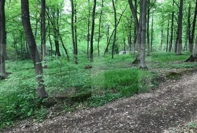 Teren de 1100 mp, în Făget - 2