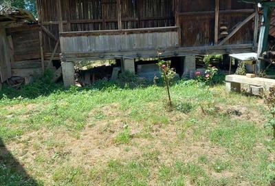 Casă cu 2 camere în Văgiulești - 4