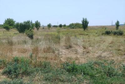 Parcele intravilan, 500 mp, str Constantei, langa Eurocartie - 2