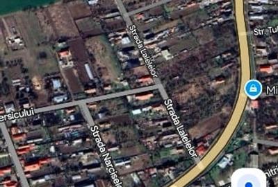 Teren intravilan Lilieci Ialomita 500m - 1